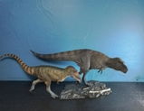B.M. review photo