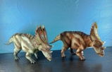 B.M. review photo