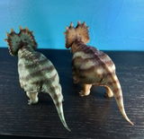 B.M. review photo