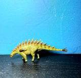B.M. review photo