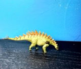B.M. review photo