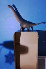 B.M. review photo