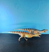 B.M. review photo