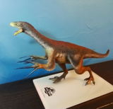 B.M. review photo