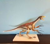 B.M. review photo