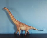 B.M. review photo
