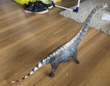 JBS review photo