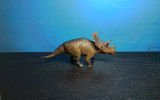 B.M. review photo