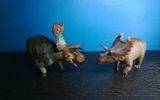 B.M. review photo
