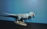 B.M. review photo