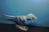 B.M. review photo