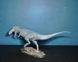 B.M. review photo