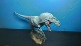 B.M. review photo