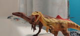 T.K. review photo