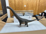Ricky review photo