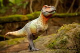 Dinosauria_Gallery review photo