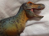 T.m.n review photo