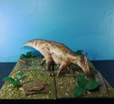 B.M. review photo