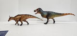Idnar R Rojas review photo