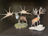 constantino benavides review photo
