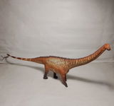 B.M. review photo
