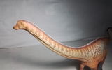 B.M. review photo