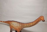 B.M. review photo
