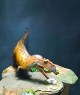 B.M. review photo