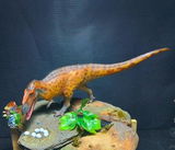 B.M. review photo