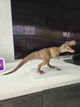 Dejan M. review photo