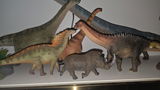 Idnar R Rojas review photo