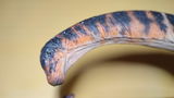 Stefano De Magistris review photo