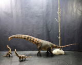 B.M. review photo