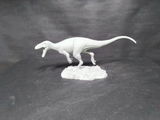 B.M. review photo