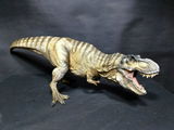 B.M. review photo