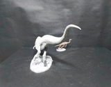 B.M. review photo