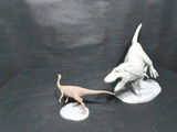 B.M. review photo