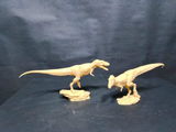 B.M. review photo