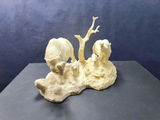 B.M. review photo