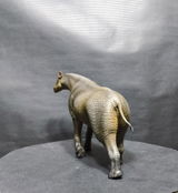 B.M. review photo