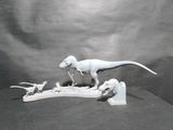 B.M. review photo