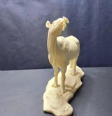 B.M. review photo