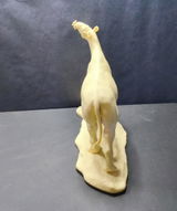 B.M. review photo