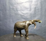 B.M. review photo