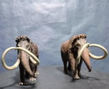 B.M. review photo