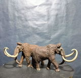 B.M. review photo