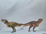 B.M. review photo