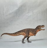B.M. review photo