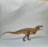 B.M. review photo