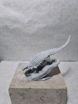 B.M. review photo
